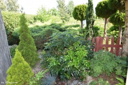 Ogródek_Kuźniewski_2021 (15)