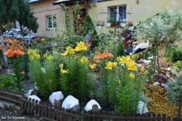 Ogródek_Krajewska_2021 (4)