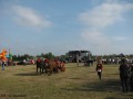 Festyn Rodzinny w Krysku_13.09.2015r. (270)