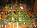 Konkurs_Palma Wielkanocna_Radzymin_2011_ocena_pz (13)