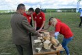 Mazowieckie Dni Rolnictwa 2016 (33)