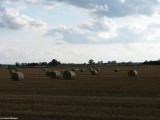 Gminne pejzaże - Wróblewo (5)
