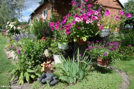 Ogrody_Kaniewska_2020 (13)