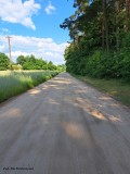 Przebudowa drogi w Sobanicach_przed (1)