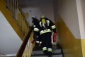 Ewakuacja Maluch_1_21.03 (44)