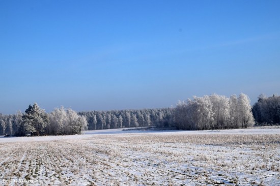 Zima_szron_16_02_2021 (6)