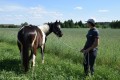 Zawody TREC_12_13 (69)