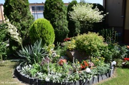 Ogródek_Śmietanowska_2021 (16)