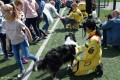 Ewakuacja SP Naruszewo_Na ratunek_20.05 (106)
