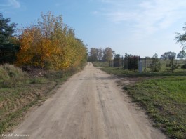 Krysk droga_18.10 (4)
