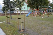 Skwerek_odbiór_27_09 (14)