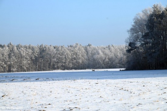 Zima_szron_16_02_2021 (18)