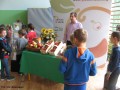 Owoce i warzywa w szkole_19.06.2015r. (80)