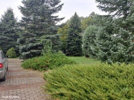 Ośrodek Zdrowia w Nacpolsku_przetarg_2024 (4)
