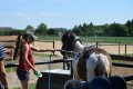 Zawody TREC_12_13 (52)