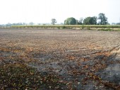 Budowa boiska w Radzyminku_015.09.2014r.