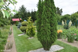 Ogrody_Piekut_2020 (33)