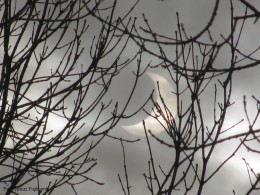 Zaćmienie słońca_04.01.2011r. (4)
