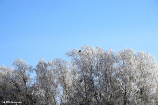 Zima_szron_16_02_2021 (15)