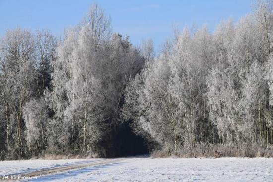 Zima_szron_16_02_2021 (28)