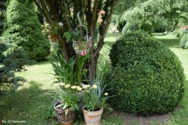 Ogrody_Sarzała_2020 (38)