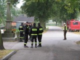 Start, meta, dekoracja i ... grochóweczka (14)