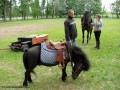 Festyn rodzinny w Krysku_02.06.2012r. (20)