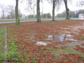 Utwardzenie placu w Radzyminie_2014 (8)