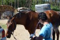 Zawody TREC_12_13 (56)