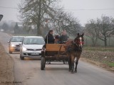 Oddanie drogi do użytkowania_Radzymin_2009_027
