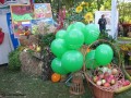 VII Jesienny Jarmark Od pola do stołu_30.09.2012r. (12)
