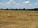 Gminne pejzaże - Skwary (2)