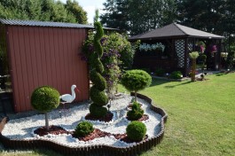 Ogródek_Kaźmierczak_2021 (12)
