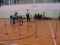 Powiatowy Turniej Bezpieczeństwa w Ruchu Drogowym_2011 (204)