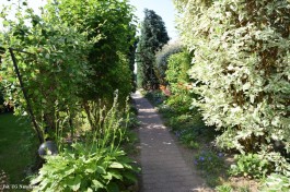 Ogródek_Jabłoński_2021 (9)