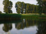 Gminne pejzaże - Wróblewo (17)