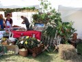 I Festiwal Sołectw_14.09.2014r. (35)