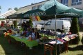 Ekologiczny piknik rodzinny_21_05_2023 (7)