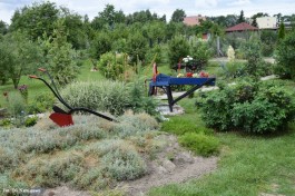 Ogrody_Ambroziak_2020 (26)
