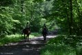 Zawody TREC_12_13 (40)