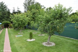 Ogrody_Piekut_2020 (30)