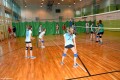 Międzyszkolny turniej piłki siatkowej_2016 (40)