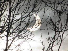 Zaćmienie słońca_04.01.2011r. (1)