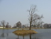 Gminne pejzaże - Nacpolsk (1)