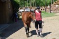 Zawody TREC_12_13 (15)