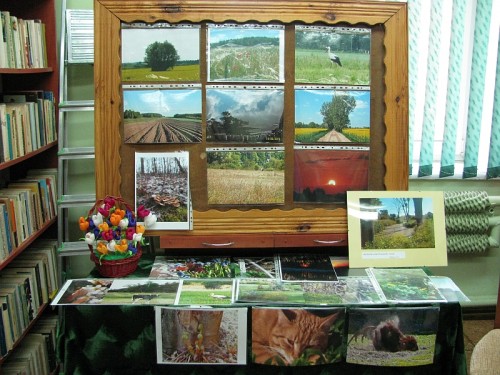 Podsumowanie_Wiosna_2010_03