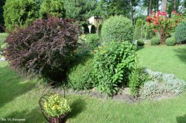 Ogrody_Śmietanowska_2020 (3)