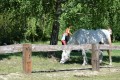 Zawody TREC_12_13 (65)