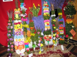 Ocena palm_2015 (6)