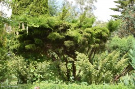 Ogrody_Sarzała_2020 (22)